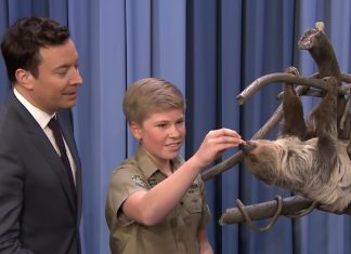 robert-irwin-on-fallon