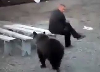 beer encounter