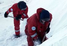 film-crew-rescue-penguins