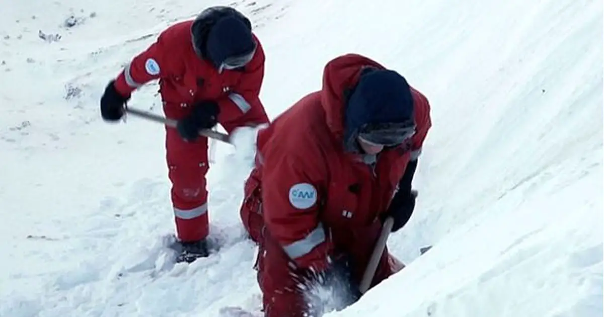 film-crew-rescue-penguins