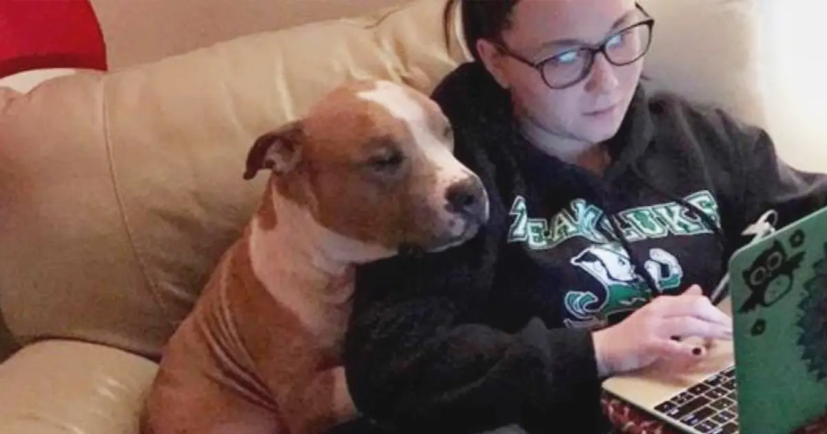 shelter-dog-loves-new-mom