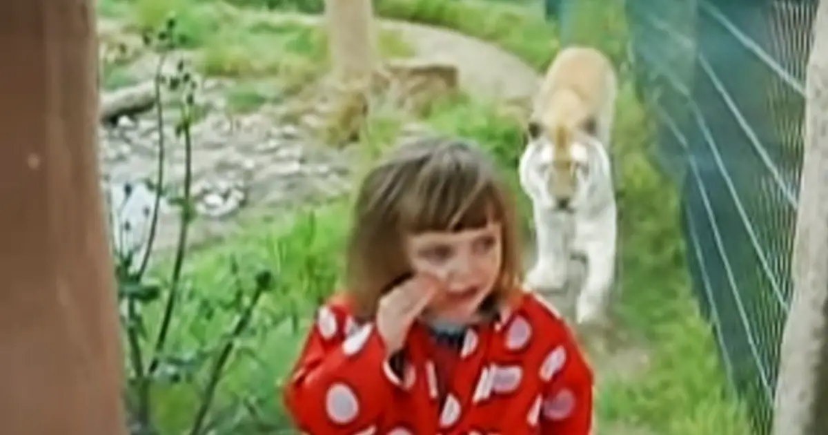 tiger surprise little girl