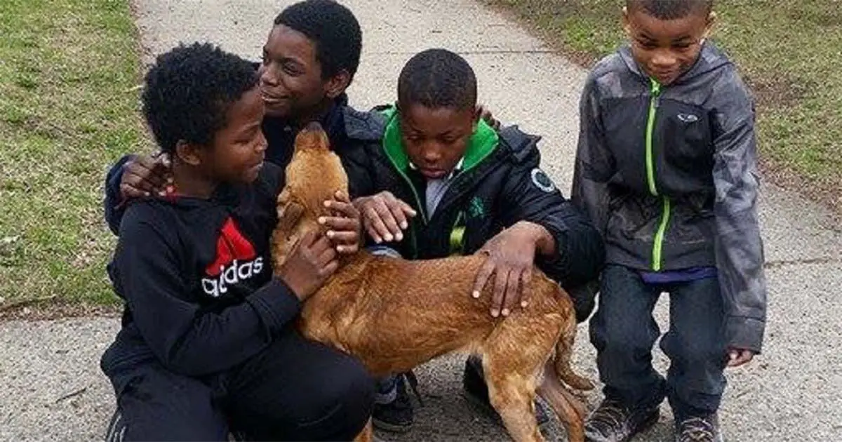 abandoned-dog-saved-by-boys