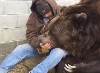 beer wants love