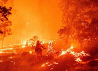 california wildfire