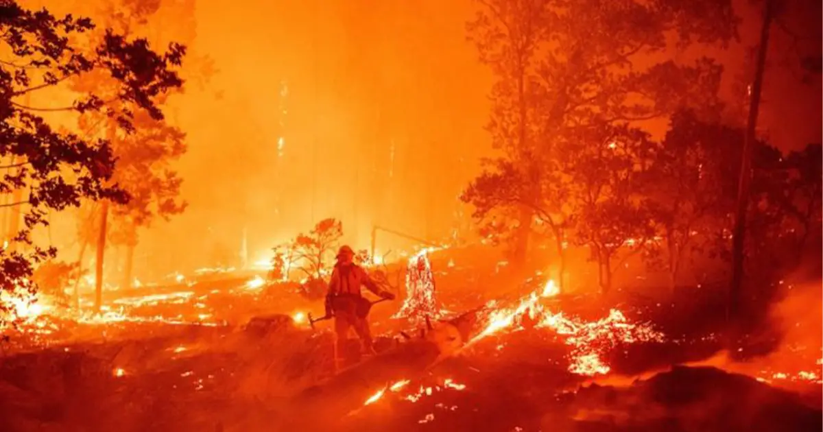 california wildfire