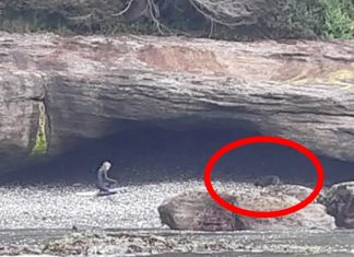 dog found on cave