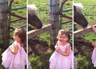 little-girl-and-pony
