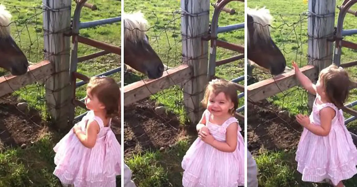 little-girl-and-pony