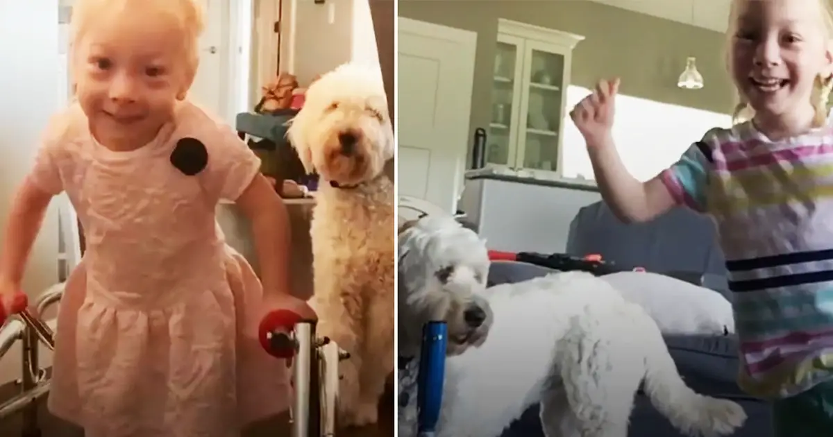dog-saw-human-sister-walk