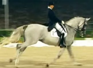 dressage-routine