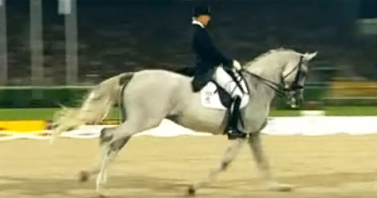 dressage-routine