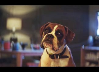 buster-xmas-1-1