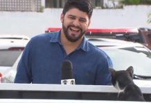 cat-inturrupts-news-segments