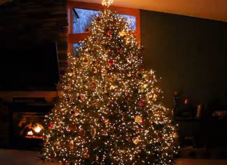 christmas-tree-light-show