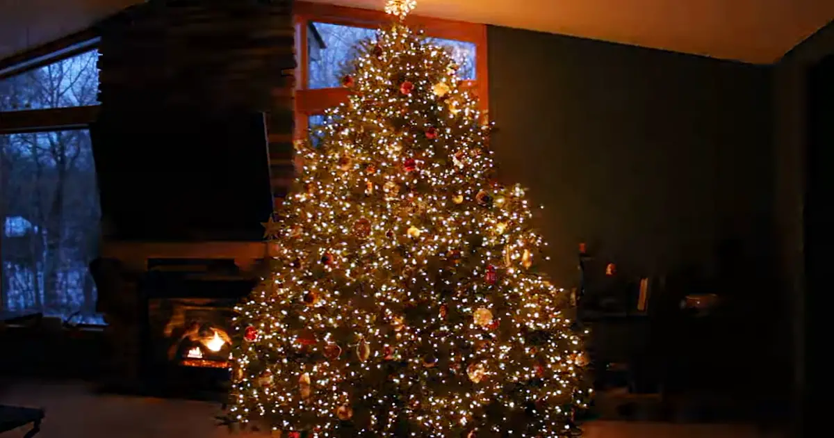 christmas-tree-light-show