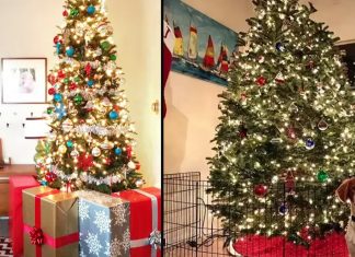 christmas-tree-with-pet-ideas