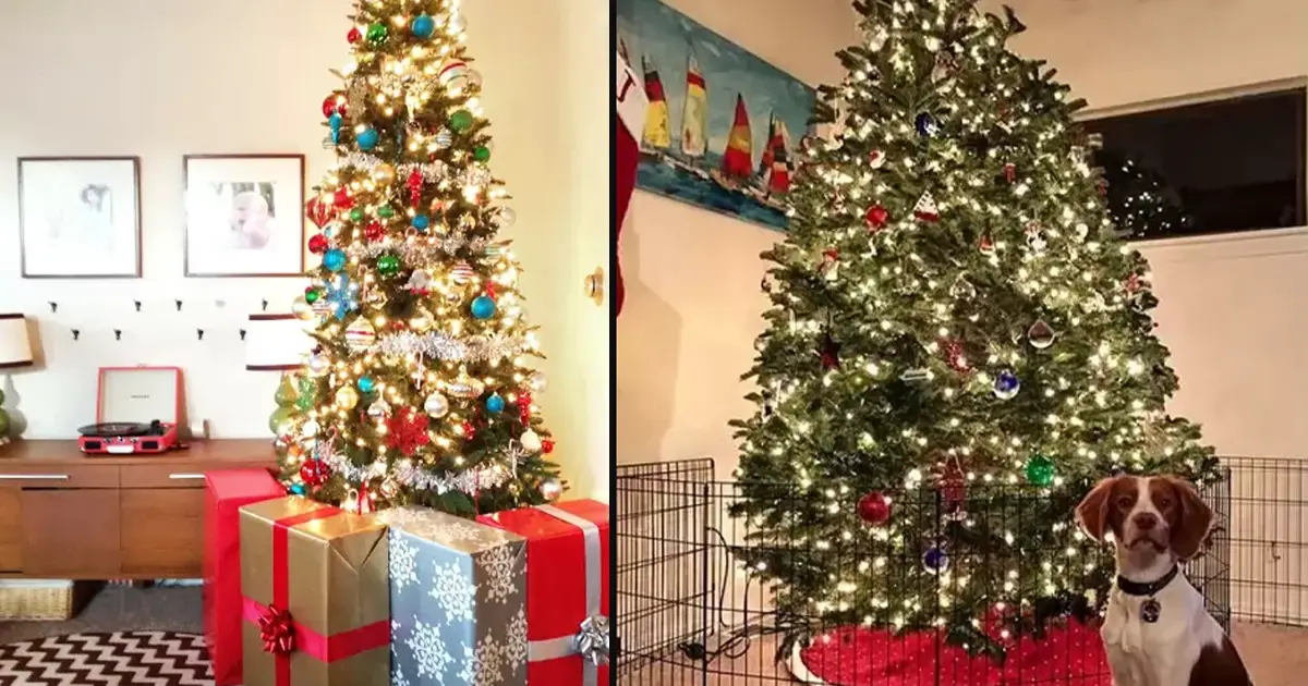 christmas-tree-with-pet-ideas