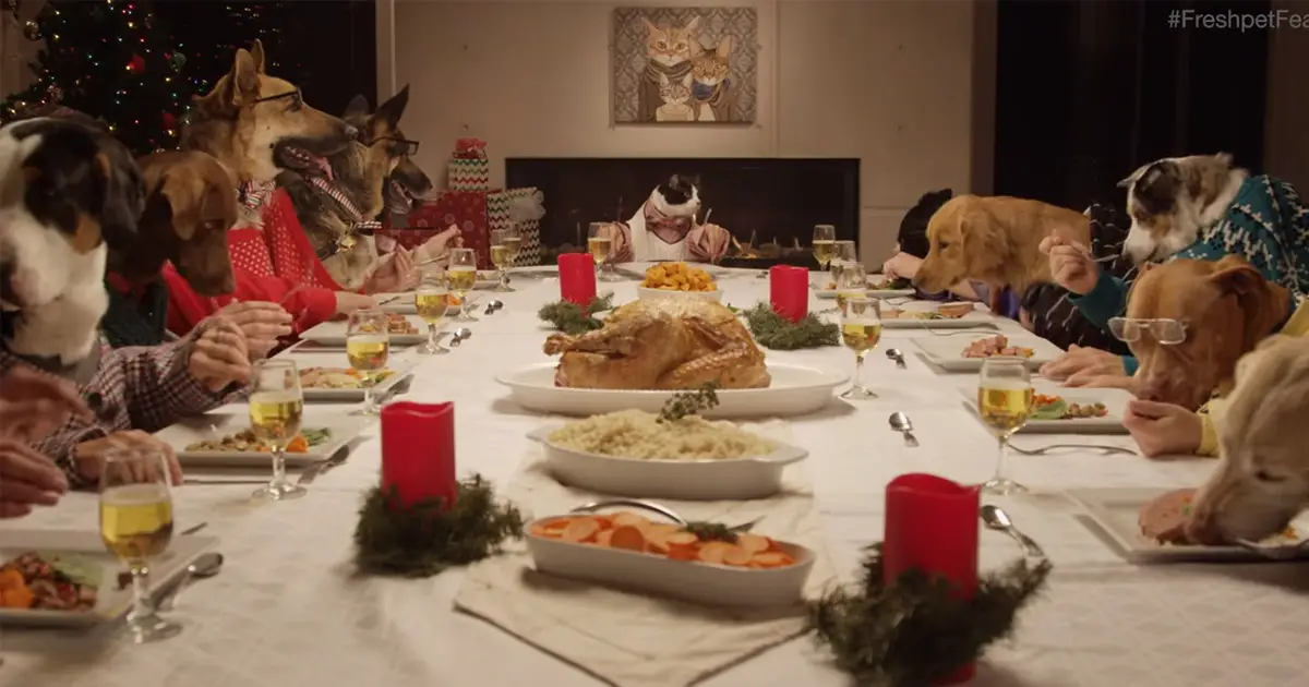 dogs-dinner-1