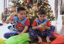potato-present