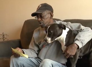 vet-threatned-to-get-rid-of-dog