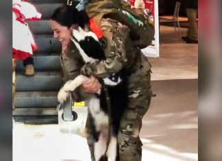 dog-joy-for-homecoming-soldier