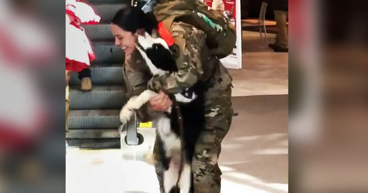 dog-joy-for-homecoming-soldier