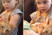 little-girl-sings-to-cat