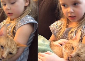 little-girl-sings-to-cat