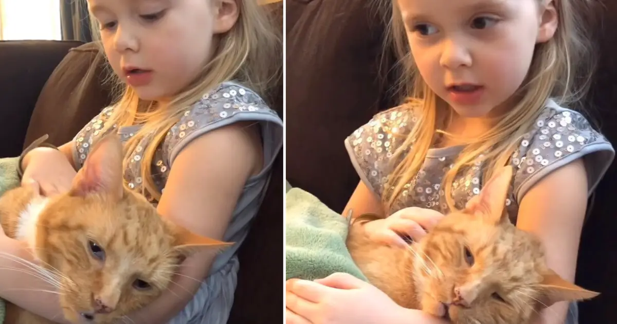 little-girl-sings-to-cat