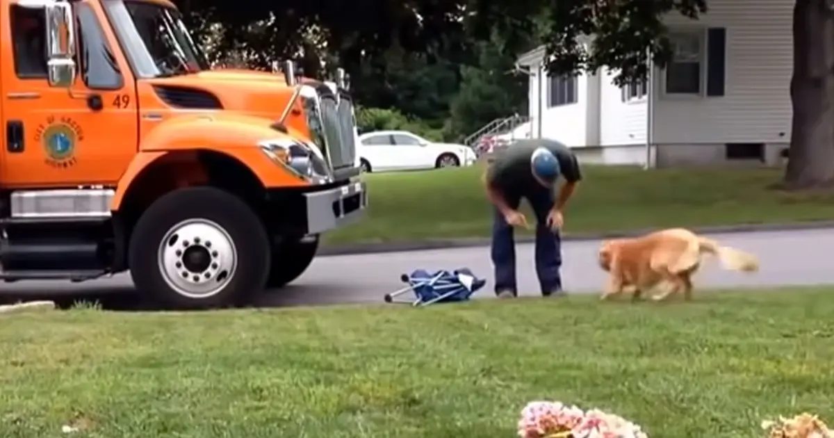dog-and-garbage-trucks