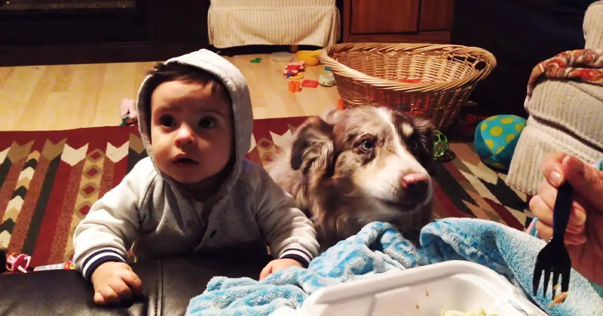 dog-and-infant-to-say-mama