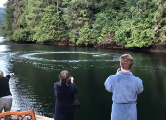 bubbles-in-lake-captured