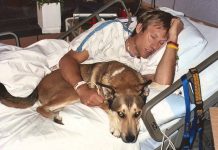 dog-and-his-owner-reaction