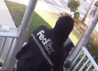 driver-delivering-package