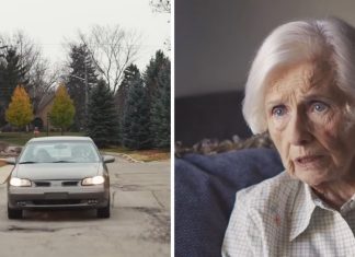 elderly-driving-licence-snatched