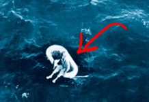 lil-girl-at-sea-truth