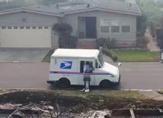 mail-carrier-work-intentions