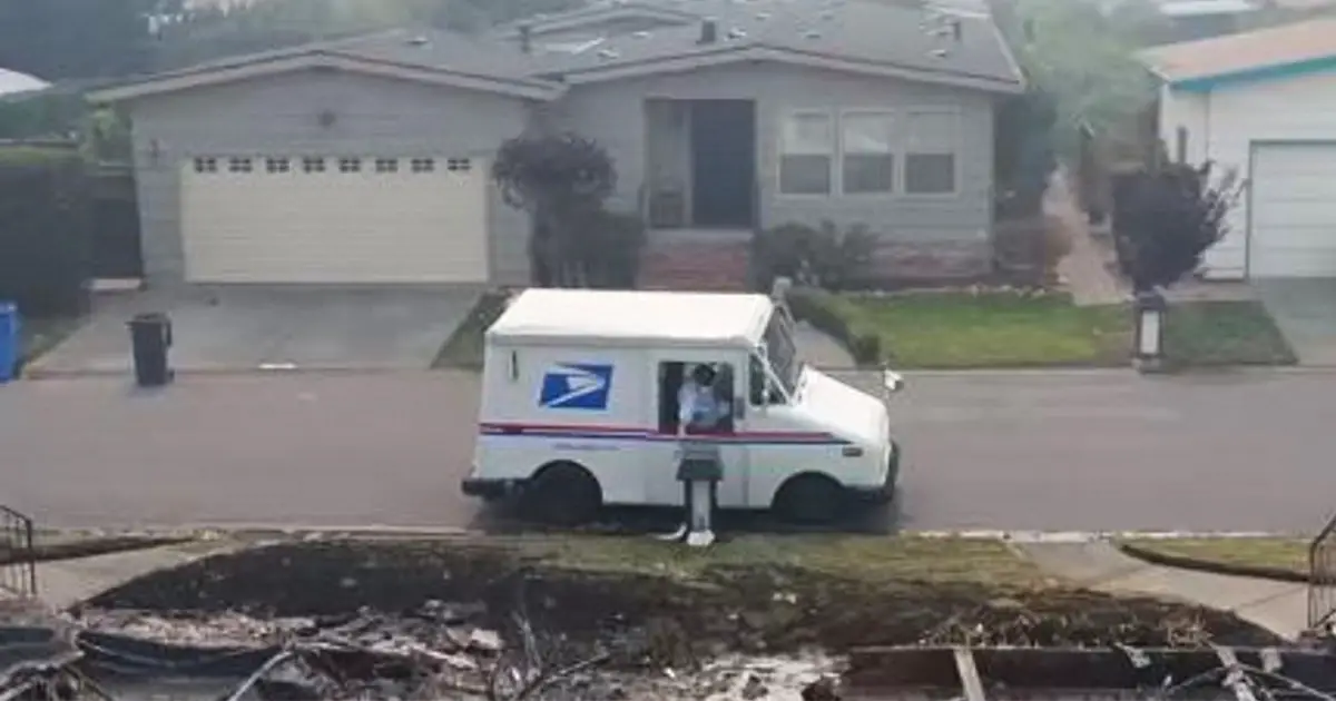 mail-carrier-work-intentions