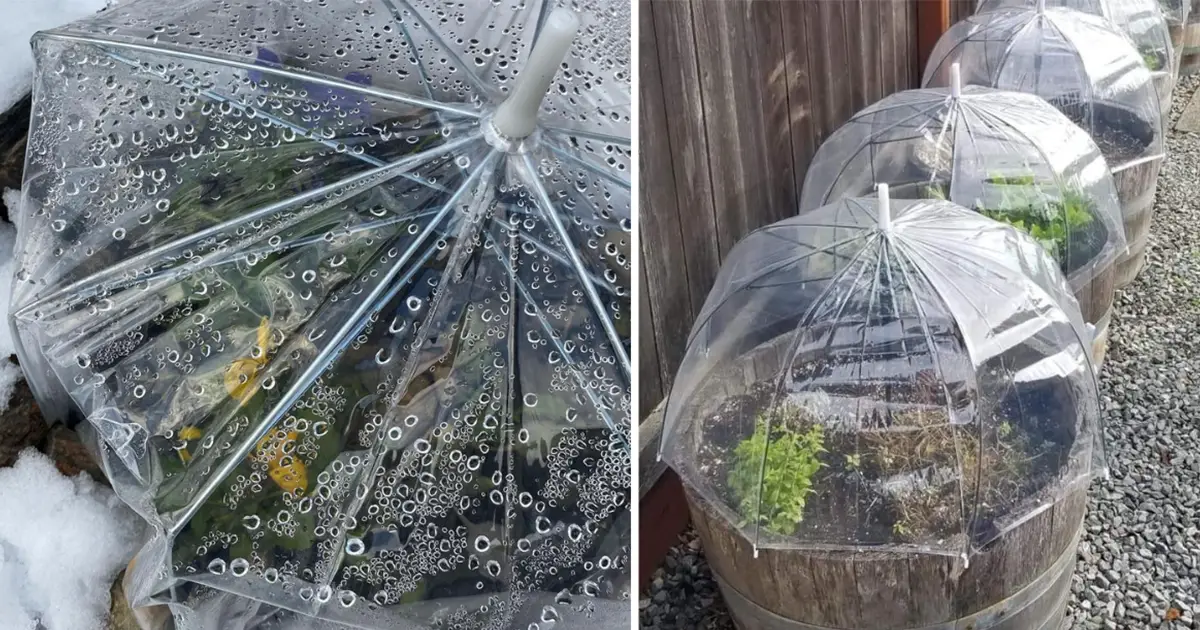 umbrellas-gardening-hack