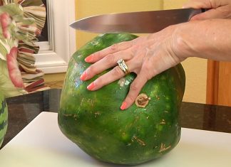 whats-inside-watermelon