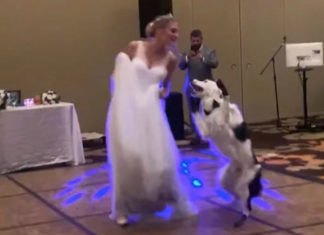 first-dance-with-dog