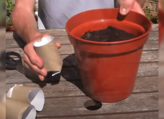 gardener-planting-trick