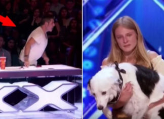 simon-cowell-save-crying-trainer
