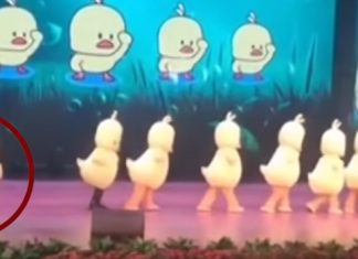 Duck Dancer forgets to Leave Stage