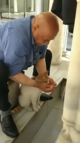 This man helping a stray cat drink