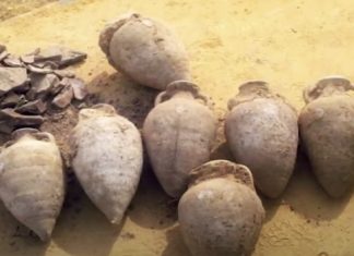 Construction Workers Accidentally Stumble Upon an Ancient Jar - Take a Pick Inside the Treasure