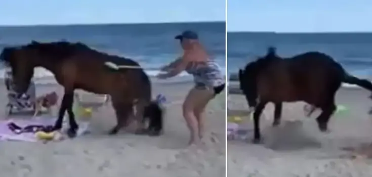 woman hits horse kicks back