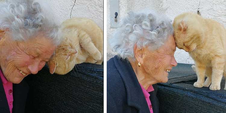 elderly Woman Reunites Cat