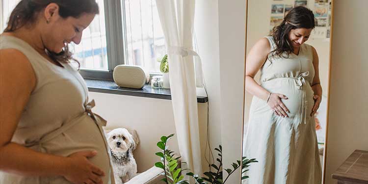 pregnant momma and dog